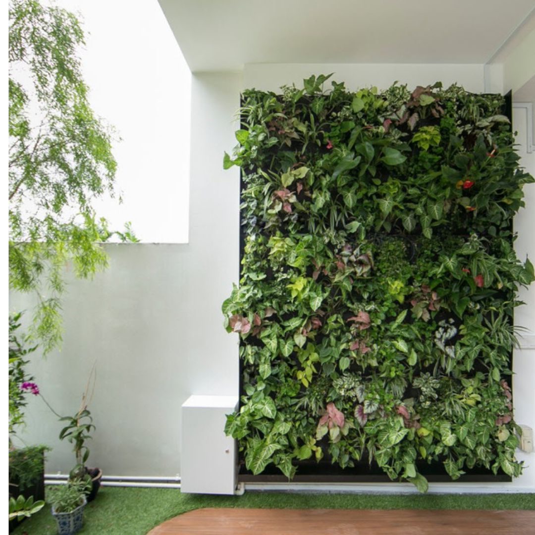 Services untitled design (10)