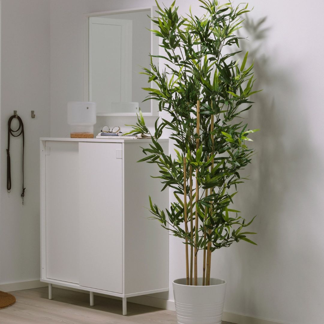 Home artificial plant the side of the room