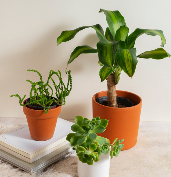 3 pot with artificial plants